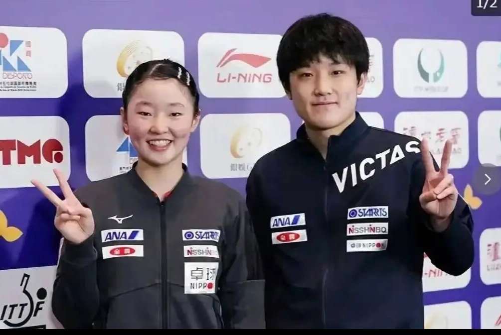 张本兄妹24小时火速叛逃！德甲三倍薪资挖角，樊振东81%胜率能保王座？